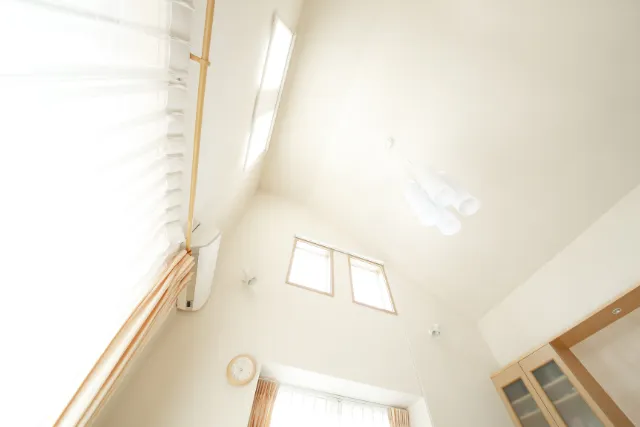 Denton Apartments with High Ceilings