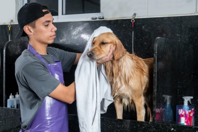 Denton Apartments with Pet Wash Station