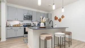 Denton Apartments With Granite Countertops 